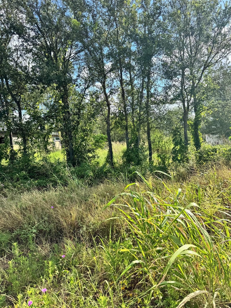 Tbd Union Chapel Rd, Cedar Creek, TX 78612