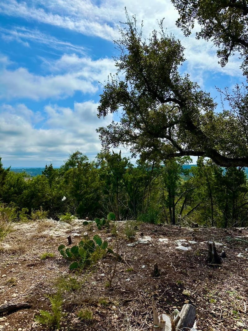 795 Cimarron , Spring Branch, TX 78070