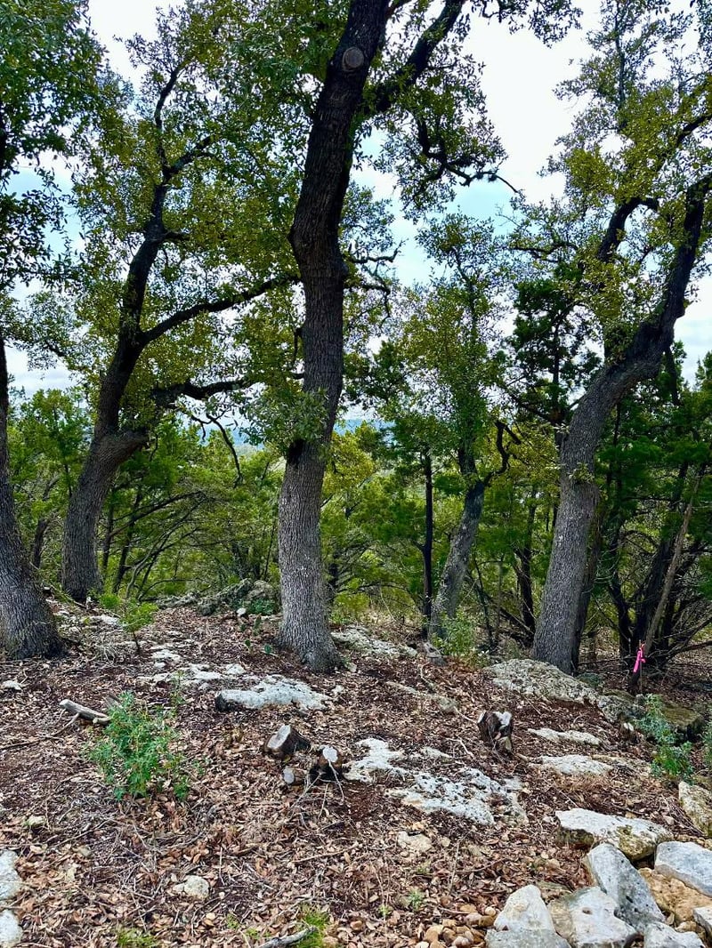 795 Cimarron , Spring Branch, TX 78070