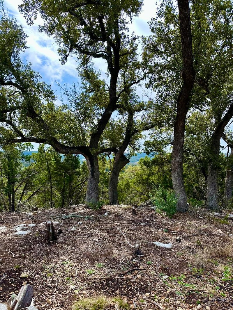 795 Cimarron , Spring Branch, TX 78070