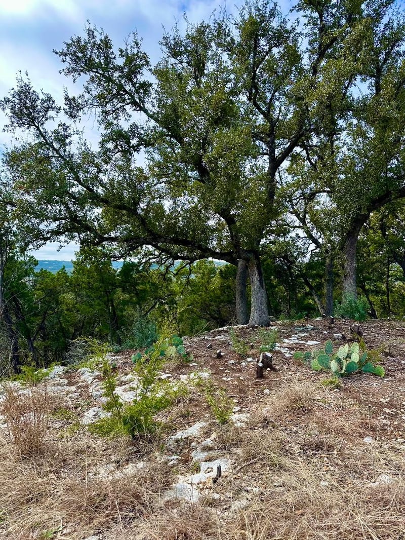795 Cimarron , Spring Branch, TX 78070