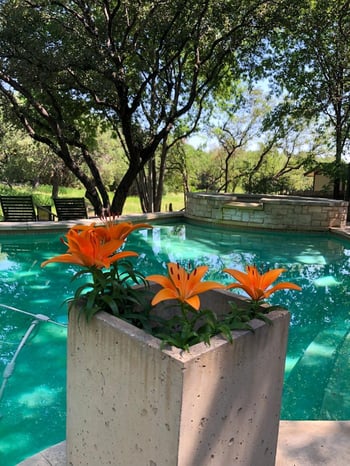 730 Shade Tree DR, Austin, TX 78748