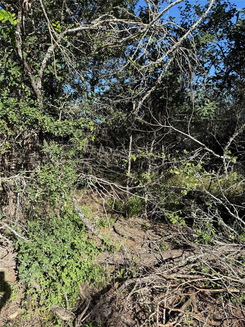 152 Helemano DR, Bastrop, TX 78602