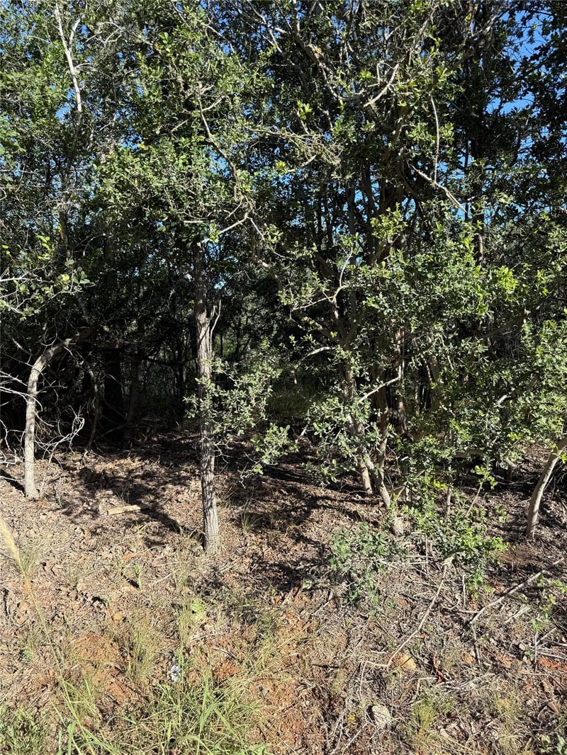 152 Helemano DR, Bastrop, TX 78602