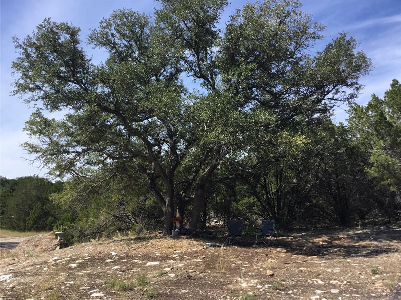 21100 Ringtail CV, Lago Vista, TX 78645