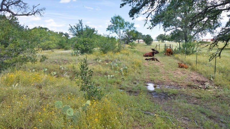 2144 Cr 307 , Kingsland, TX 78639