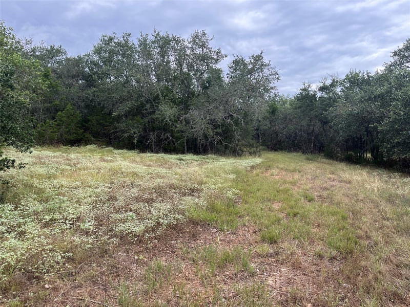 Arbor TRL, Buda, TX 78610