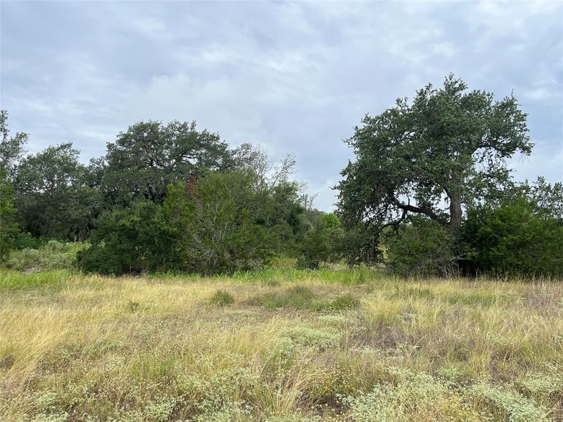 Arbor TRL, Buda, TX 78610