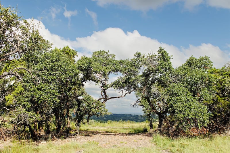 Lot 11 Ridgeway TRL, Johnson City, TX 78636