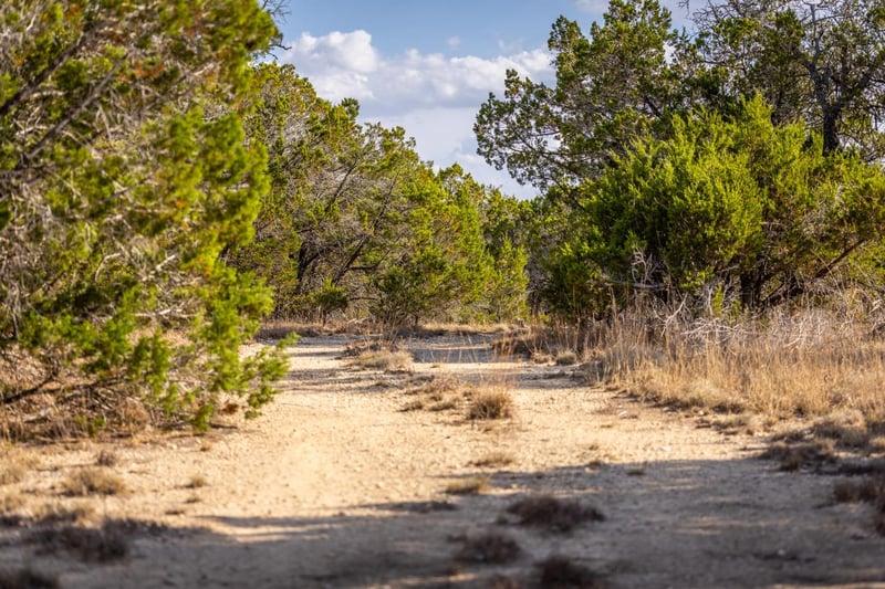220 Estates RD, Wimberley, TX 78676