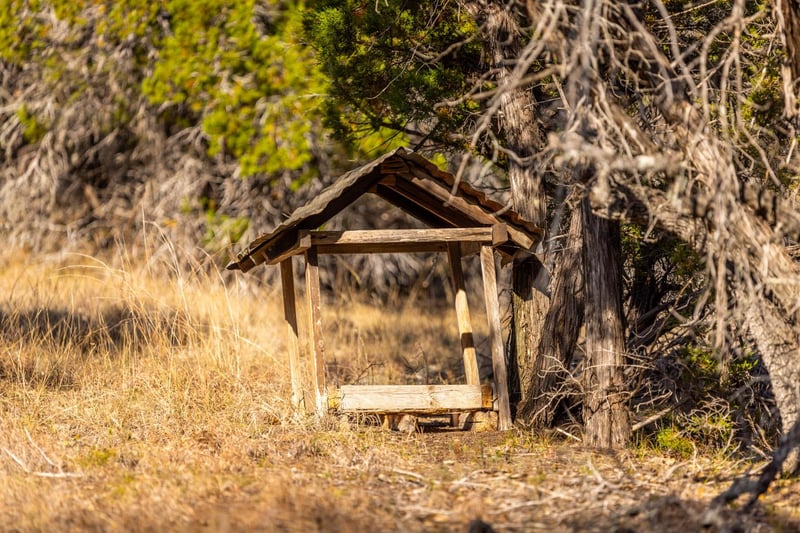 220 Estates RD, Wimberley, TX 78676