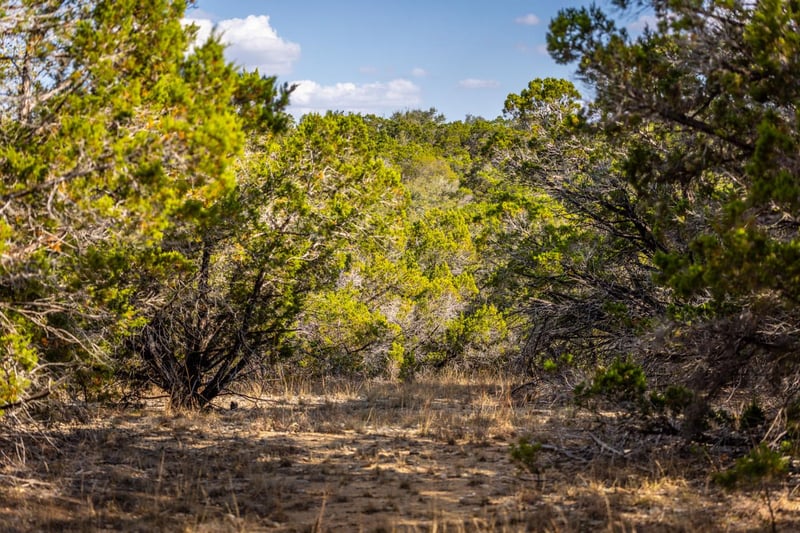 220 Estates RD, Wimberley, TX 78676