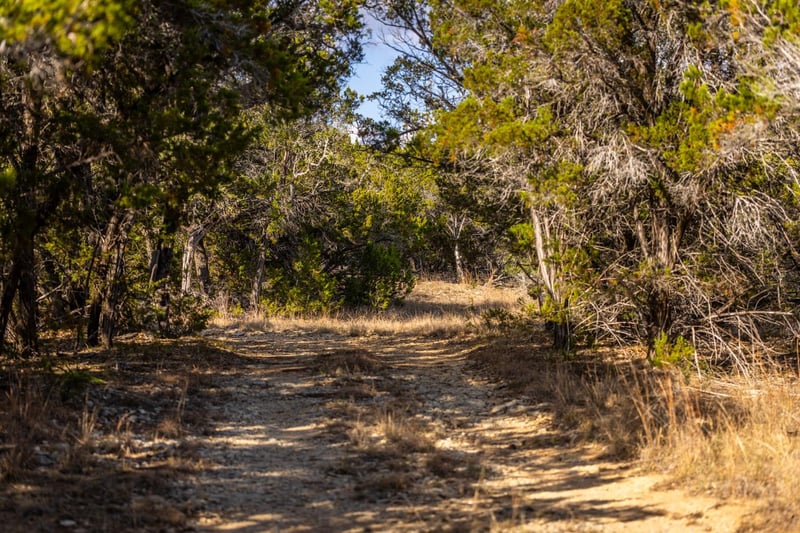 220 Estates RD, Wimberley, TX 78676