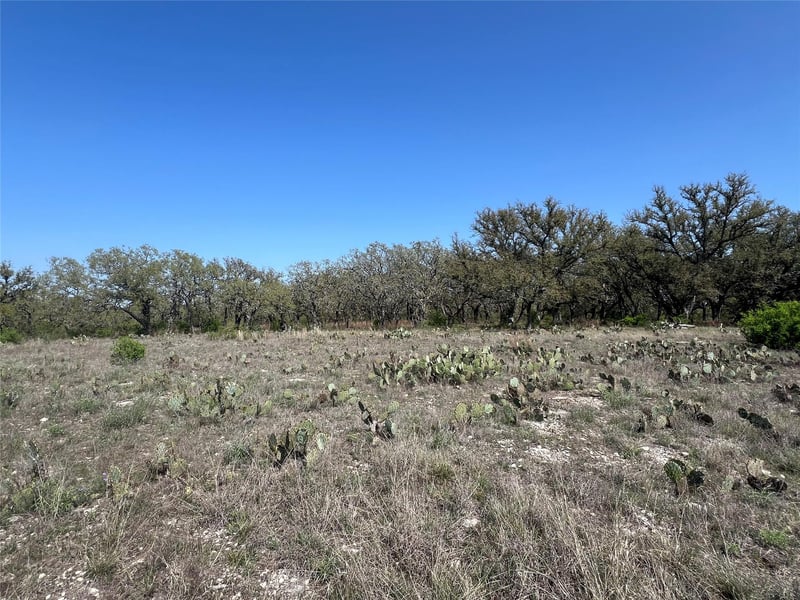 Lot 42 Waterbuck Way, Lampasas, TX 76550
