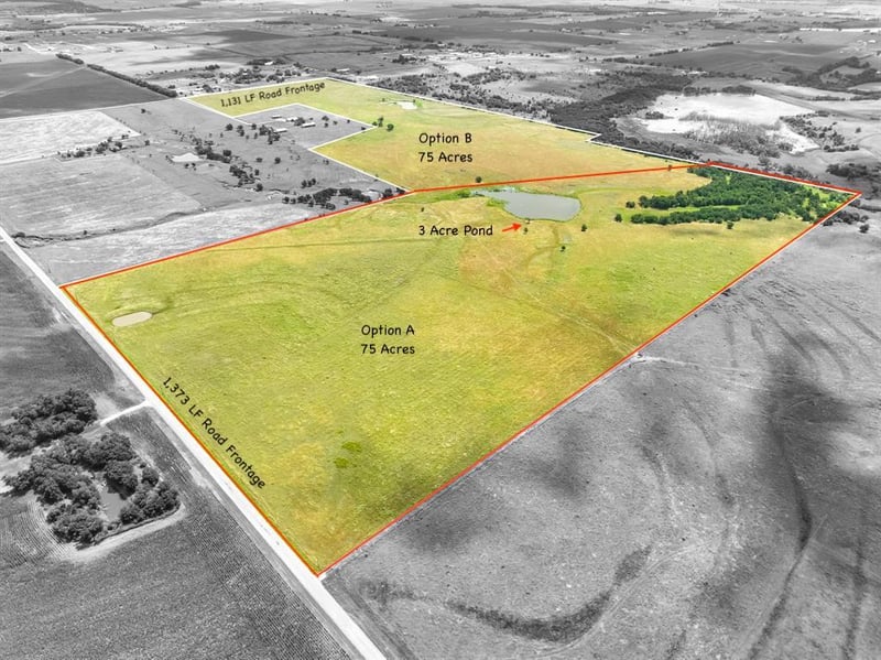 Tract 1 - 75 Acres County Road 419, Taylor, TX 76574