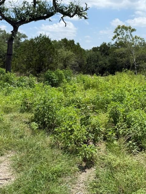 25402 Fawn DR, Leander, TX 78641