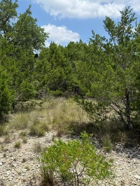 25402 Fawn DR, Leander, TX 78641