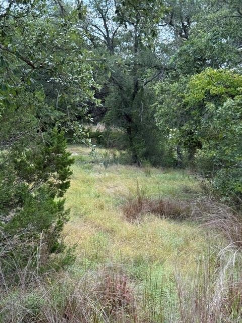 25402 Fawn DR, Leander, TX 78641