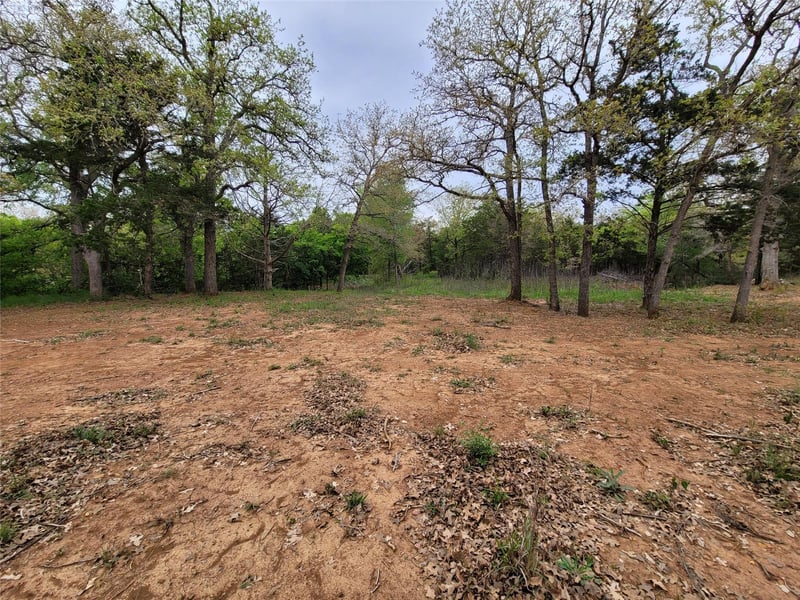 160 Arbor Hill Way, Cedar Creek, TX 78612