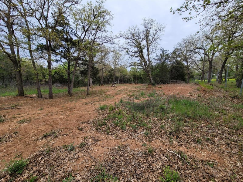 160 Arbor Hill Way, Cedar Creek, TX 78612