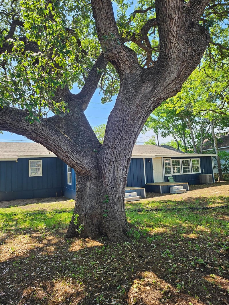 103 Rhomberg ST, Burnet, TX 78611