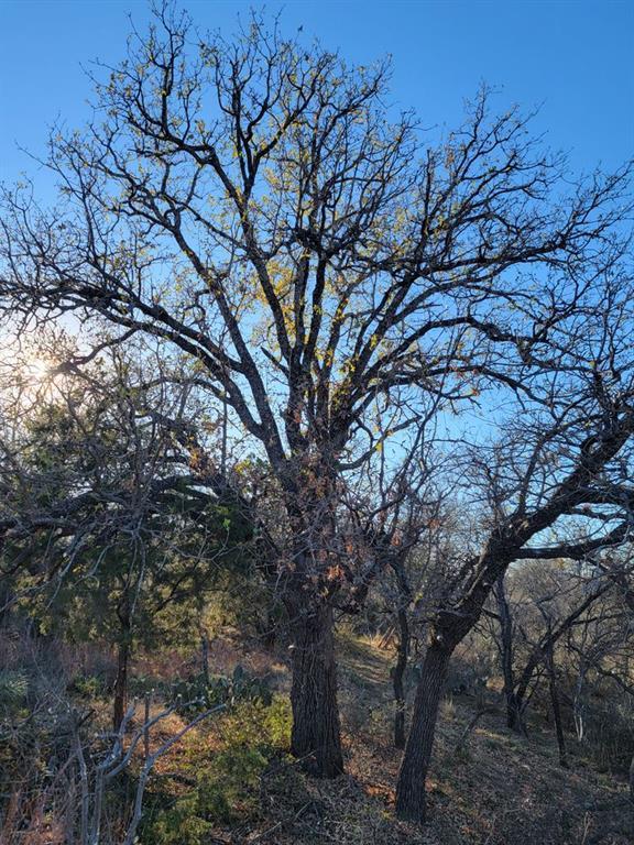 1207 Rockcrest DR, Granite Shoals, TX 78654