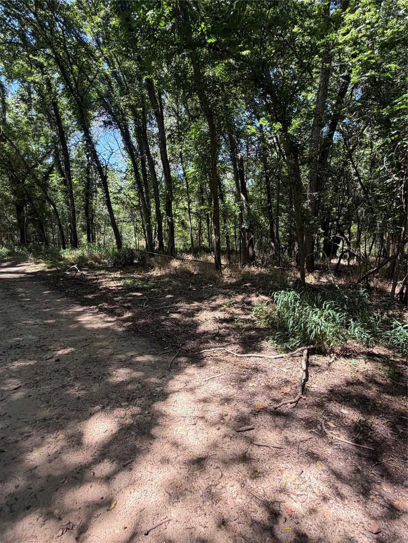 Lot 677 Kaukonahua LN, Bastrop, TX 78602