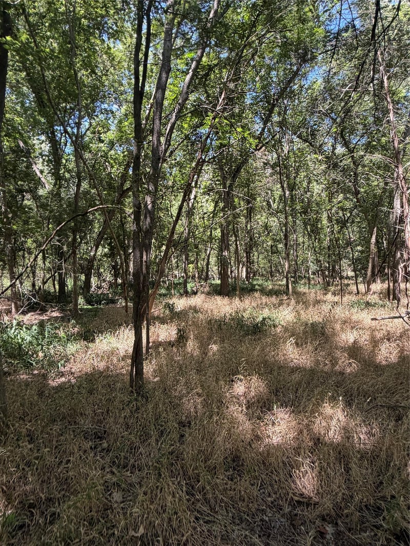 Lot 677 Kaukonahua LN, Bastrop, TX 78602