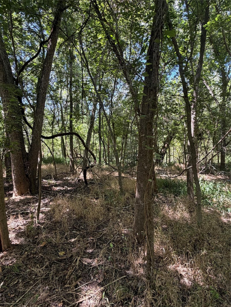 Lot 677 Kaukonahua LN, Bastrop, TX 78602