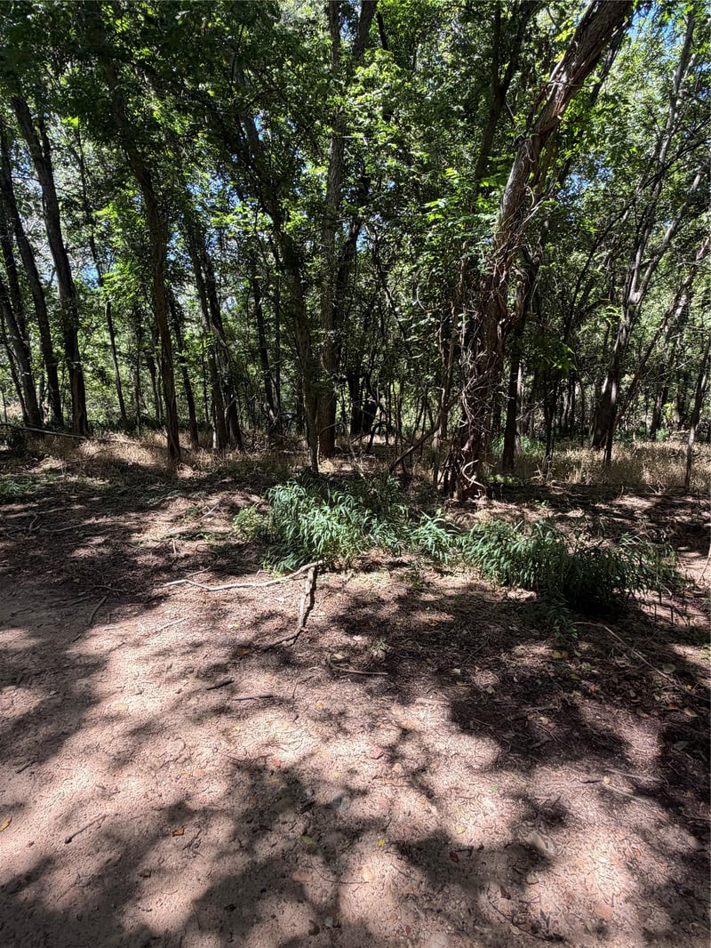 Lot 677 Kaukonahua LN, Bastrop, TX 78602
