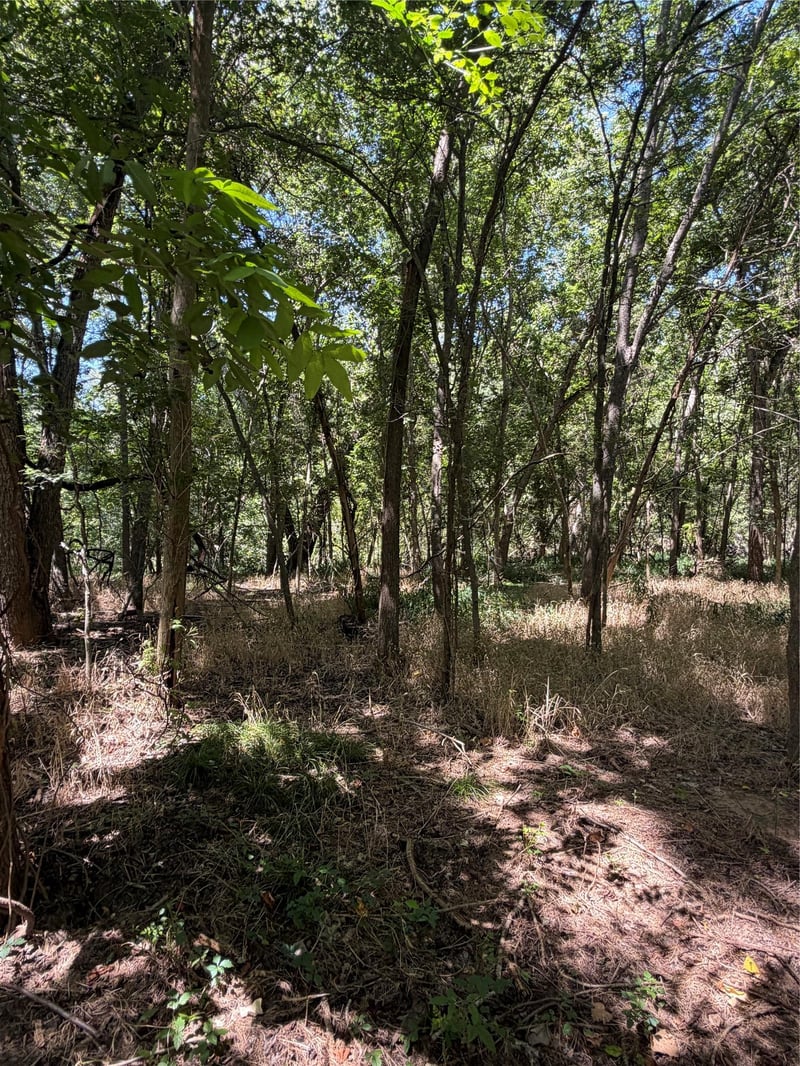 Lot 677 Kaukonahua LN, Bastrop, TX 78602