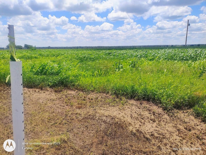 3001 Dolphin DR lot 2, Coupland, TX 78615