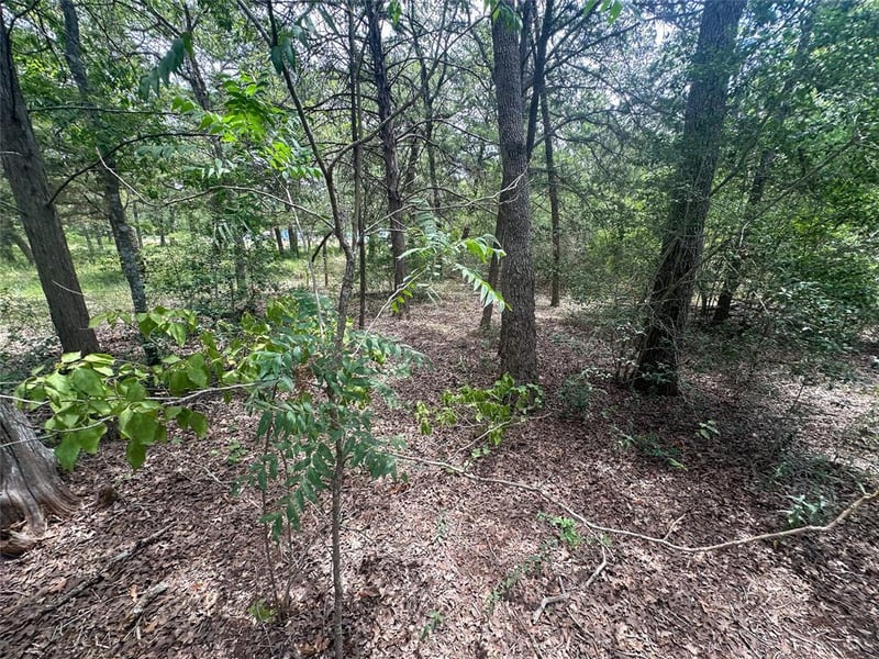 246 Arrowhead DR, Smithville, TX 78957