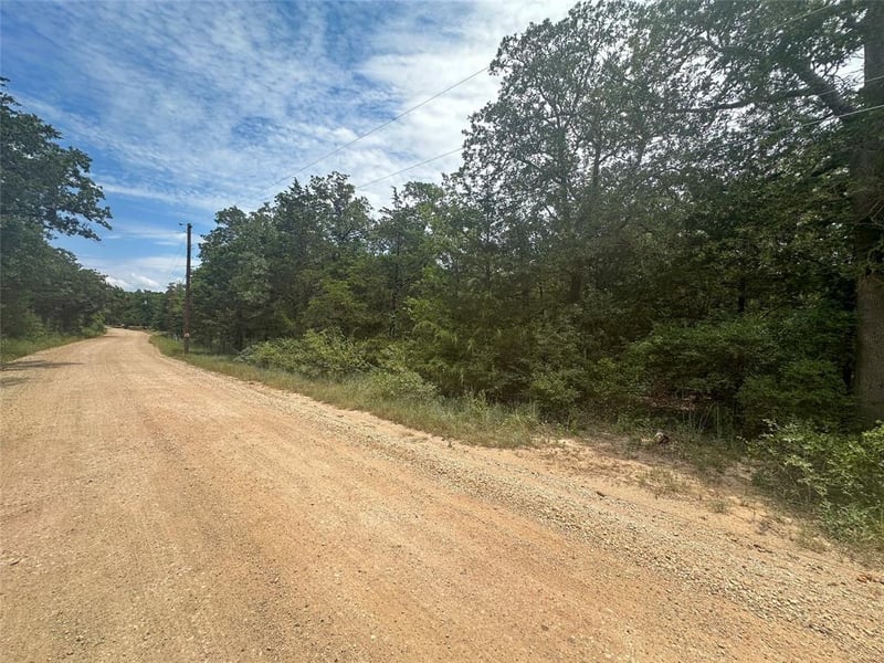 246 Arrowhead DR, Smithville, TX 78957