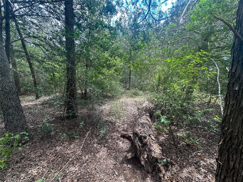 246 Arrowhead DR, Smithville, TX 78957