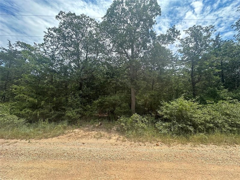 246 Arrowhead DR, Smithville, TX 78957