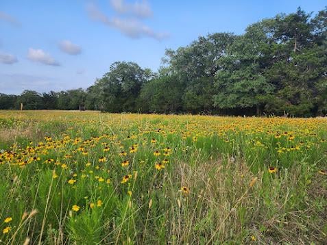 000 Fm 812 RD, Cedar Creek, TX 78612