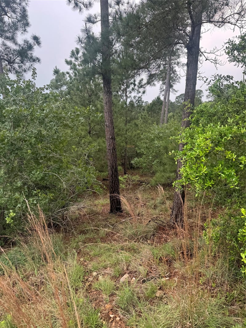 Kaanapali LN, Bastrop, TX 78602