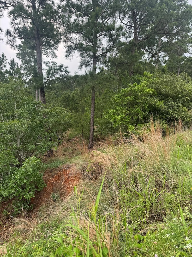 Kaanapali LN, Bastrop, TX 78602