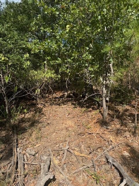 Lots 1338 and 1339 Tahitian DR, Bastrop, TX 78602