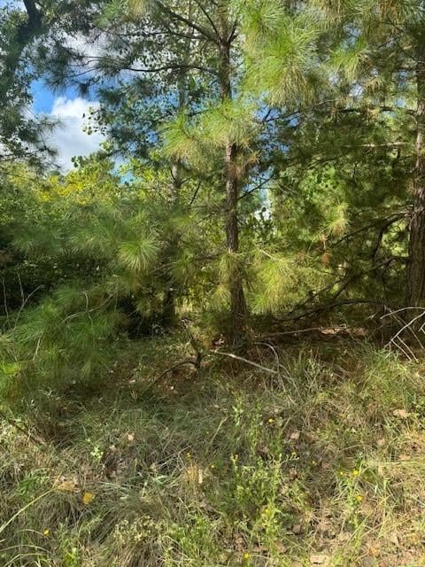 Lots 1338 and 1339 Tahitian DR, Bastrop, TX 78602