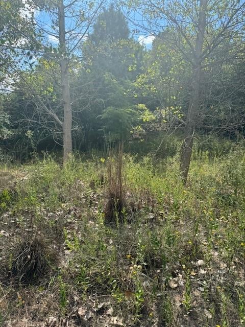 Lots 1338 and 1339 Tahitian DR, Bastrop, TX 78602