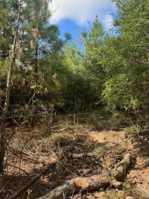 Lots 1338 and 1339 Tahitian DR, Bastrop, TX 78602