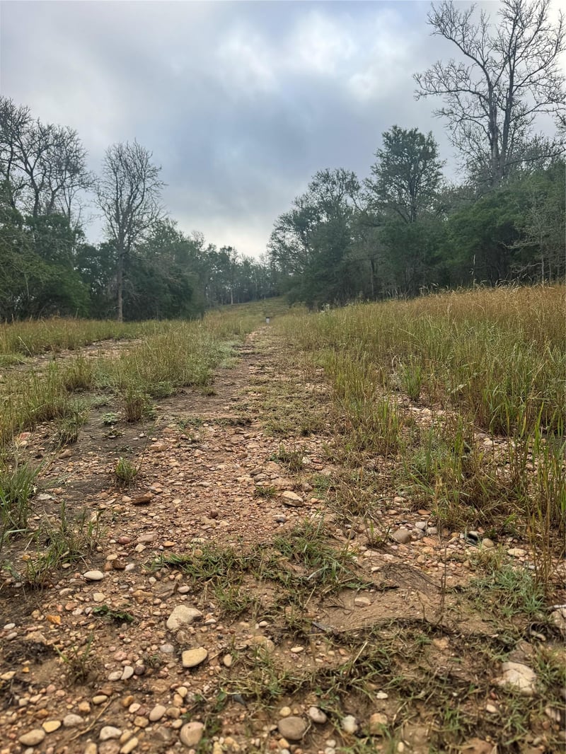 107 and 109 Hauula CT, Bastrop, TX 78602