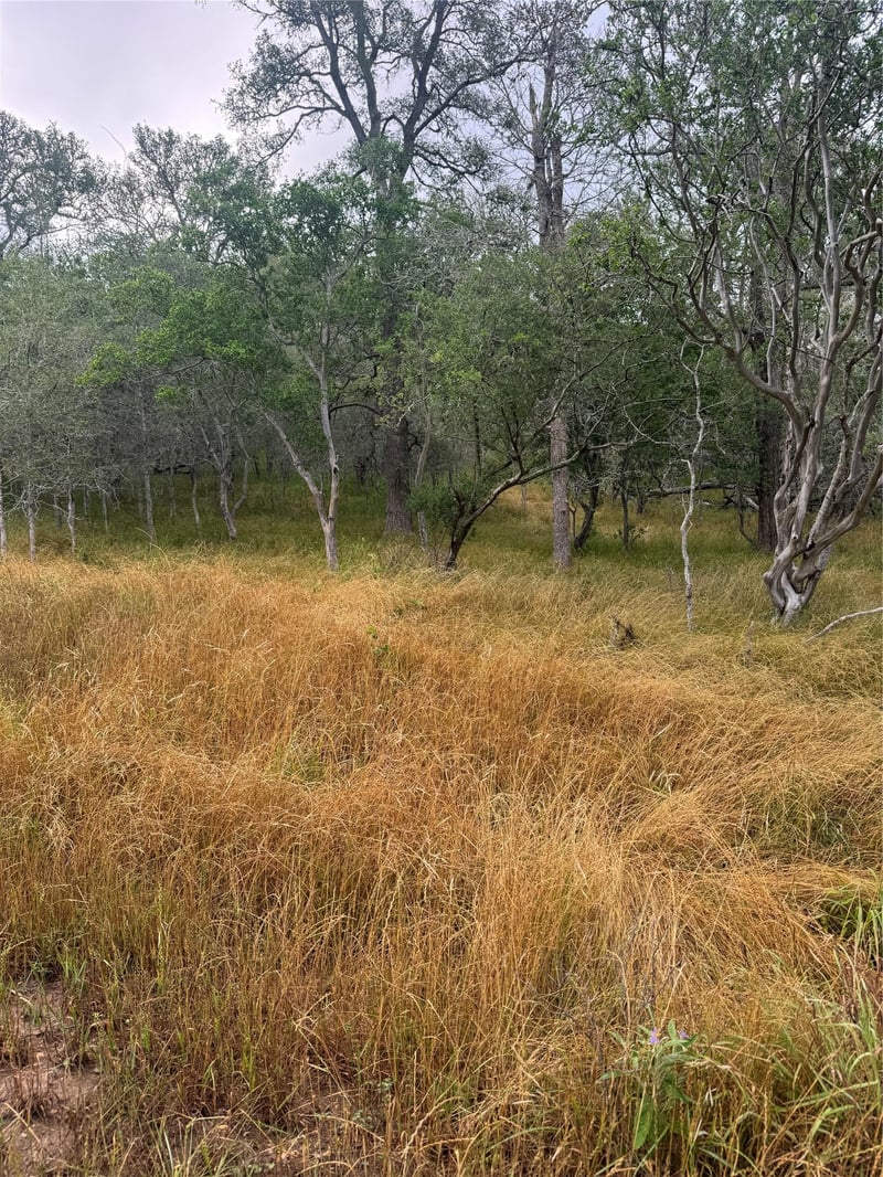107 and 109 Hauula CT, Bastrop, TX 78602