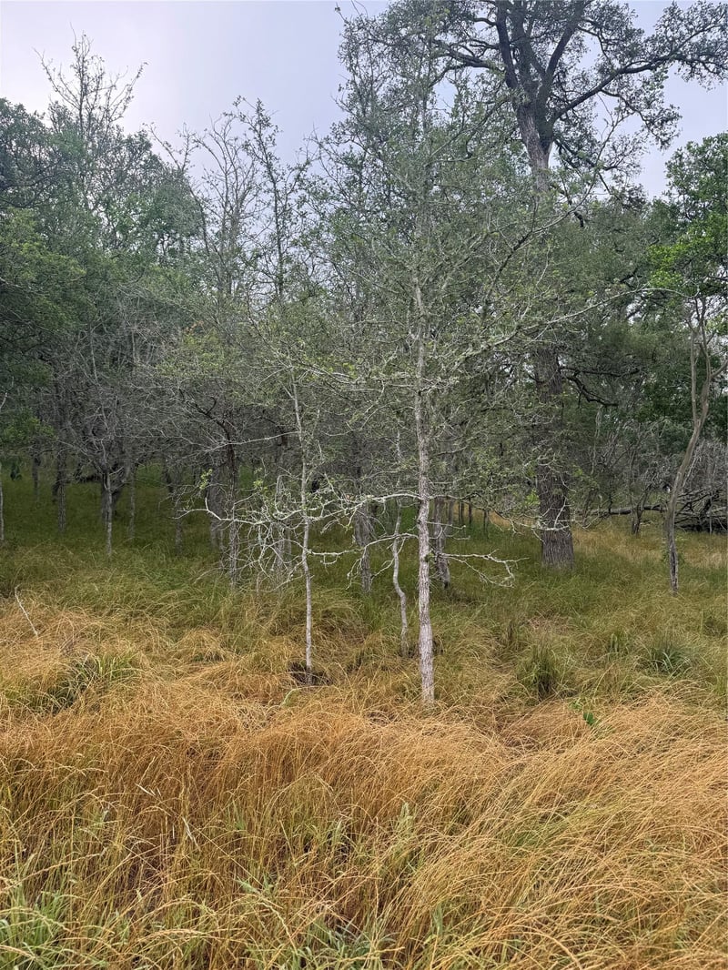 107 and 109 Hauula CT, Bastrop, TX 78602
