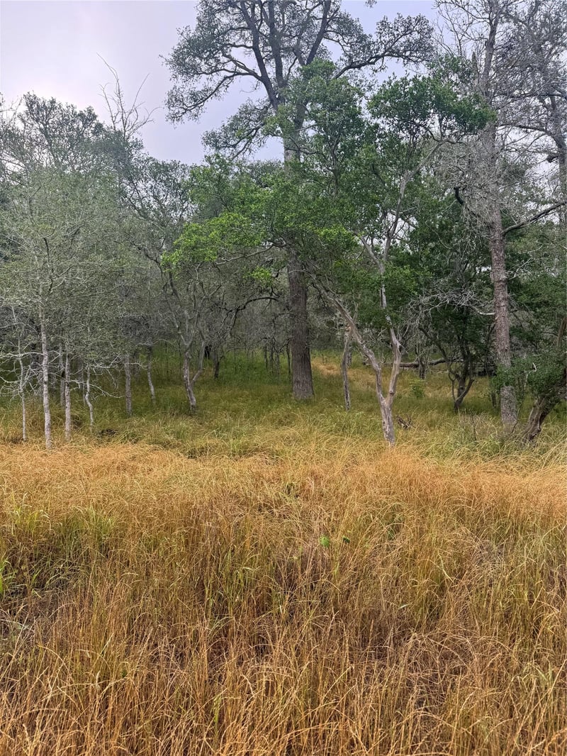 107 and 109 Hauula CT, Bastrop, TX 78602