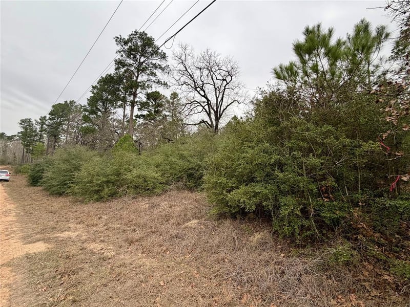 0000 Makaha DR, Bastrop, TX 78602