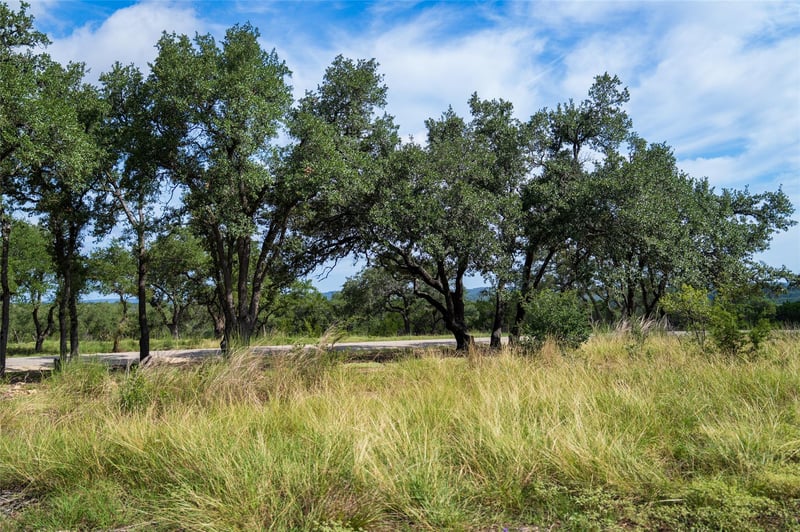 TBD-7 Rr 2325, Wimberley, TX 78676