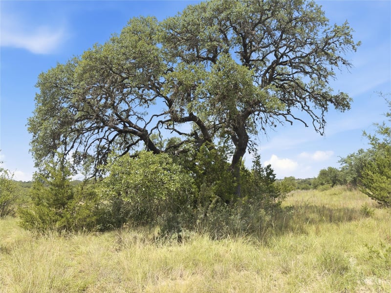 963 Summit Ridge Trail DR, Johnson City, TX 78636